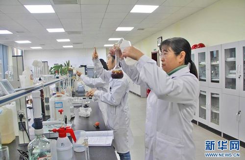 聚焦高質量發展 信息科技領域的技術開發與“傻瓜肥”式新質生產力